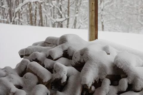 These Logs are Really Needed Now Stock Photos