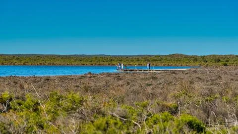 These rock like structures stromatolites on the edge of Lake Thetis are bui.. Stock Photos