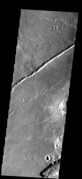 These thin, parallel ridges appear to be narrow lava flows from Alba Patera.. Foto stock