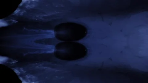They each go her own way Stock Footage 256098017