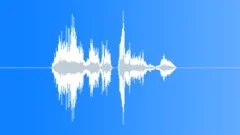 They have chance 2Sound Effect