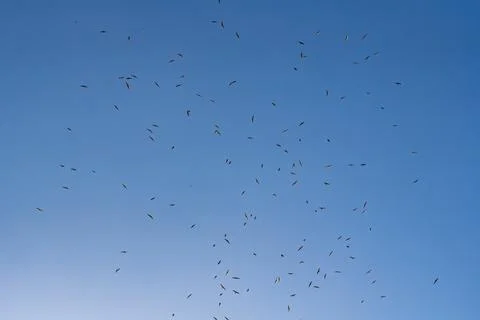 They wanked in the sky Stock Photos