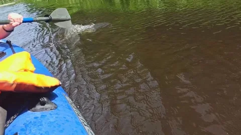 They work with an oar, lower it into the water. Rafting on the river. Stock Footage 235051688