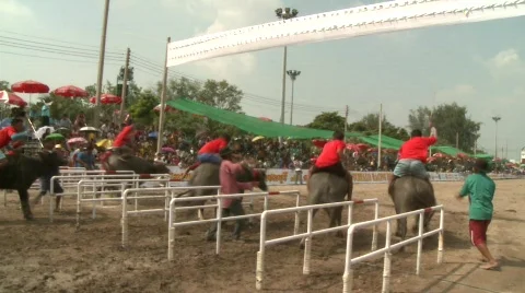 They're off 1 Video stock 485563