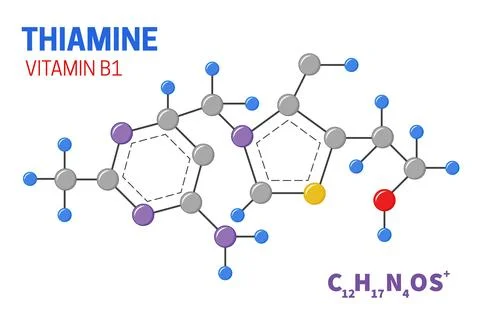 Thiamine Vitamin B1 Molecule Structure Illustration Stock Illustration