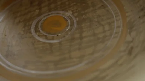 Thick amber liquid falling, spreading into hypnotic expanding rings with Vídeos de archivo 297616493