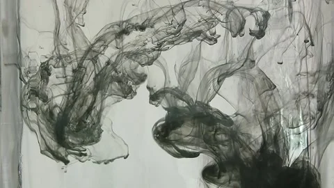 Thick black ink falls down with shells in clear water close-up Stock Footage 291107619