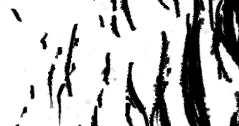 Thick Black Ink Strokes Sweeping, Luma Matte Seamless Loop Stock Footage 343582095