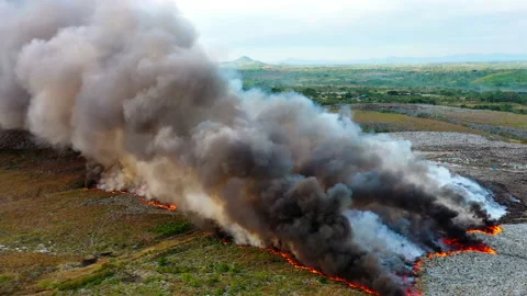 Thick black smoke rising from a field on fire, Amazon rainforest Stock Footage