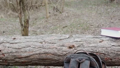 A thick book in the early spring forest in a clearing on a lying pine Vídeos de archivo 172275393
