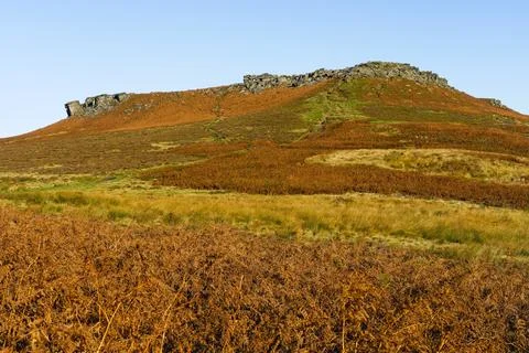 In the thick bracken below Higger Tor up to the summit. Stock Photos