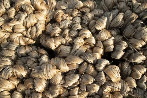 Thick brown bundle of raw jute fiber Texture Background Stock Photos
