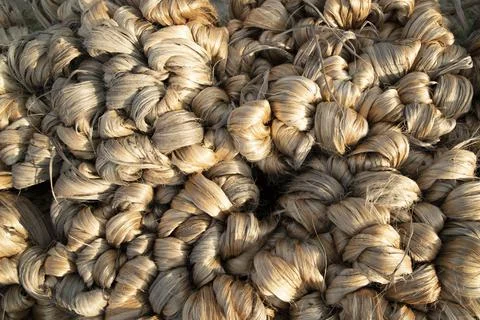 Thick brown bundle of raw jute fiber Texture Background Stock Photos