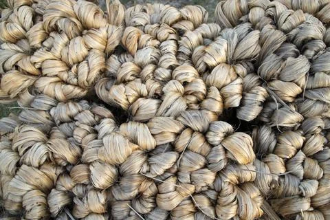 Thick brown bundle of raw jute fiber Texture Background Stock Photos
