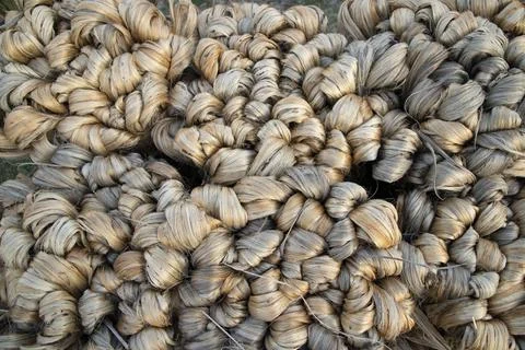 Thick brown bundle of raw jute fiber Texture Background Stock Photos