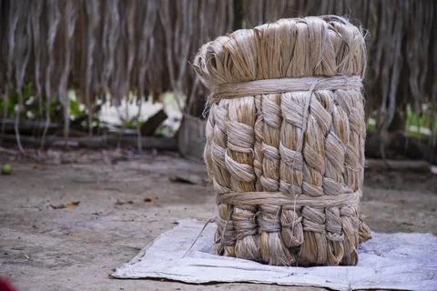 A thick brown  bundle of raw jute has on the ground Stock Photos