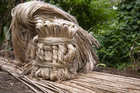 A thick brown  bundle of raw jute has on the ground Foto stock