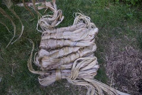 A thick brown  bundle of raw jute has on the ground Stock Photos