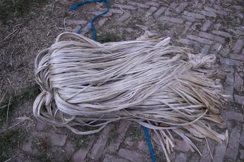 A thick brown  bundle of raw jute has on the ground Stock Photos