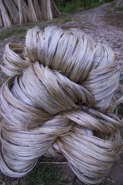 A thick brown  bundle of raw jute has on the ground Foto stock