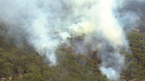 Thick bushfire in Australia Vidéo 82930121
