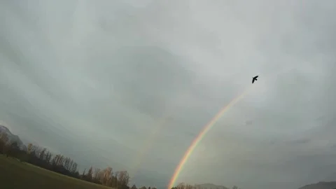  Thick Cirrostratus Double Rainbow Crow Stock Footage 144960608