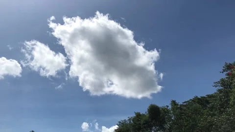 Thick Clouds And Bright Sun Against Blue Sky Background and Green Trees Stock Footage 138018142