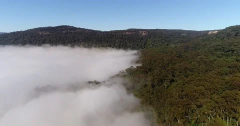 Thick clouds and fog over Kangaroo valley in soft warm morning light. Stock Footage 135878507