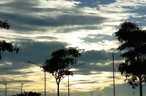 Thick clouds between trees and street lights in the evening sky before sunset Stock Photos
