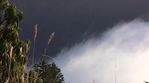 Thick clouds cover the ground in the Himalayas. Nepal. Stock Footage 43742450