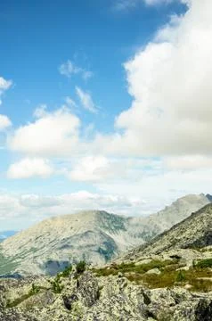 Thick clouds floating above the forest Stock Photos