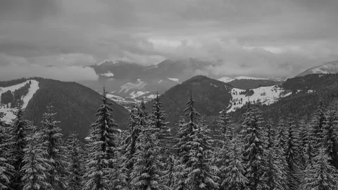 Thick clouds over the mountains in a winter landscape with spruce trees . Video stock 167837574