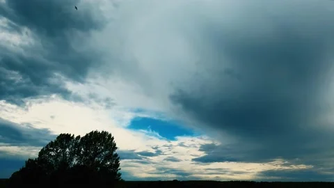 Thick clouds in the sky move over the trees, time lapse, evening time Stock Footage 236721964