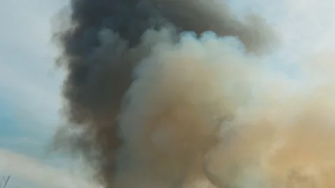 Thick clouds of smoke in the sky. Air pullution problem. 4k footage Stock Footage 106999199
