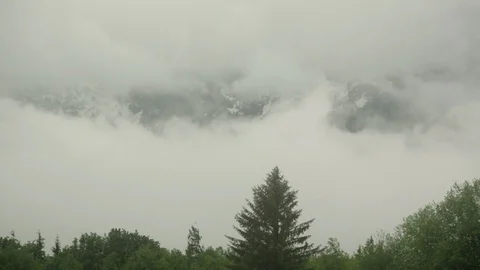 Thick cloudy mist hangs over pine trees on mountain side. Stock Footage 86757730