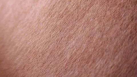 Thick Craft Cardboard Bending in Wave Shape with Soft Clapping Sound for Stock Footage 321528140