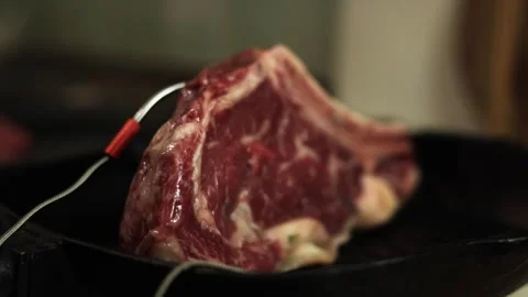 Thick cut raw beef steak with thermometer probe in cast iron pan Stock Footage 340563170
