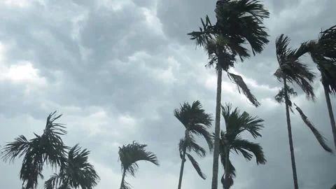 Thick dark black heavy storm clouds cover summer sunset sky horizon. Gale spe Stock Footage 156007627