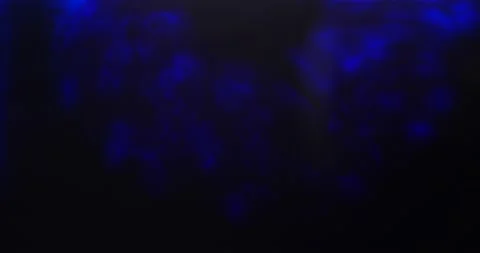 Thick dark ink swirling around motion background cloudy artistic Stock-Footage 219302995
