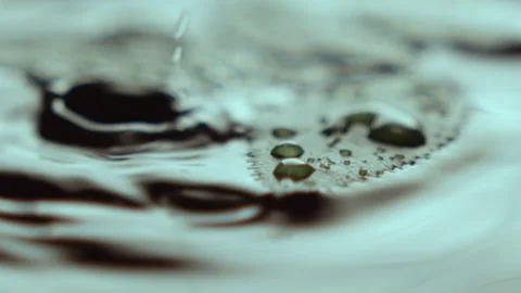 Thick droplet falls on leaf and water and makes ring Stock Footage 231721423