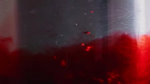Thick drops of blood falling in murky and bloody water in slow motion Stock Footage 250739166