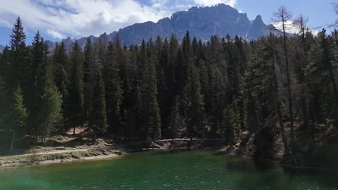 Thick Evergreen Forest and Mountains Rising Above Alpine Lake Stock Footage 341465593