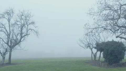 Thick fog and empty trees in the countryside in winter, in France  Stock Footage 286710761