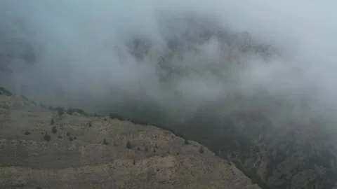 Thick fog blankets the landscape with soft white mist under cloudy sky Stock Footage 342714039