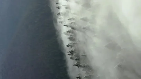 Thick fog blows through trees of dense mountain forest. Vertical aerial Stock Footage 221986882