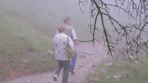 Thick fog covers forest landscape. Summer. Silhouettes of people Stock Footage 76003346