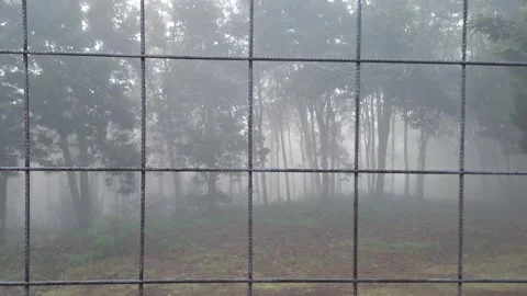 Thick fog enveloping trees behind fence line Stock Footage 337050413