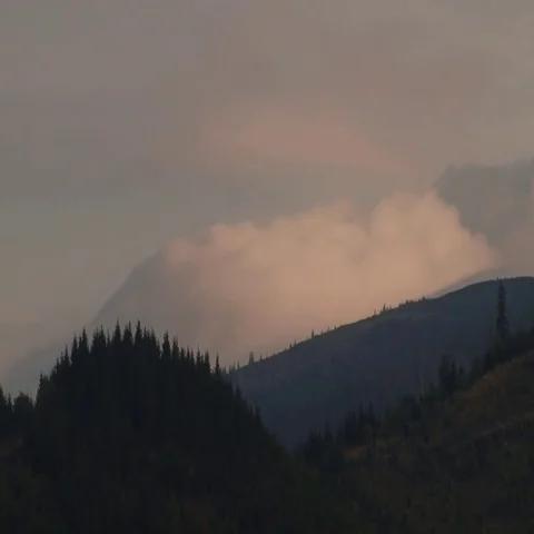 Thick fog floating over the mountain Stock Footage 69519858
