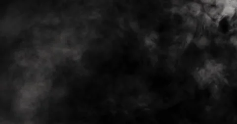 Thick Fog Stock Footage 209197248
