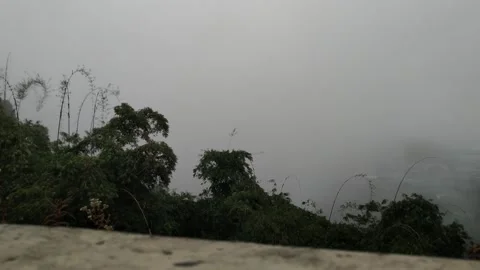 Thick fog Stock Footage 220214178